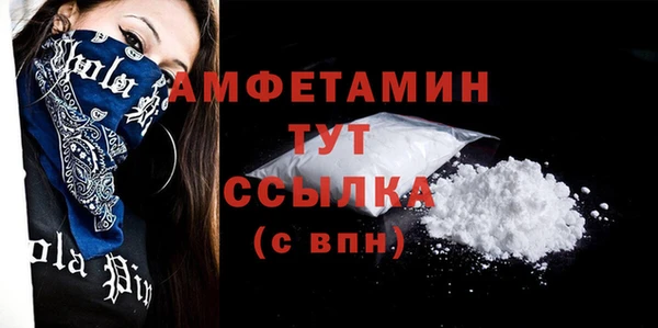 стаф Ельня