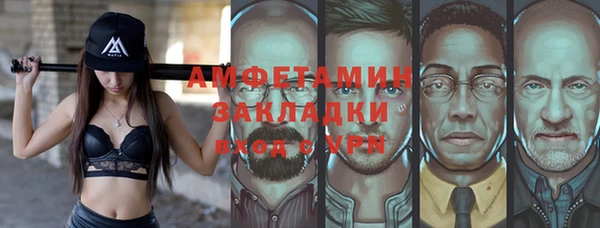 стаф Ельня