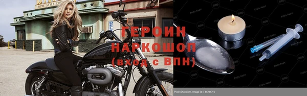 стаф Ельня
