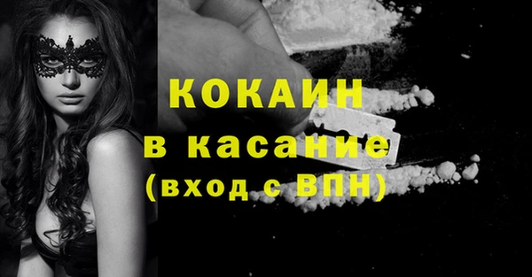 стаф Ельня