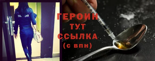 стаф Ельня