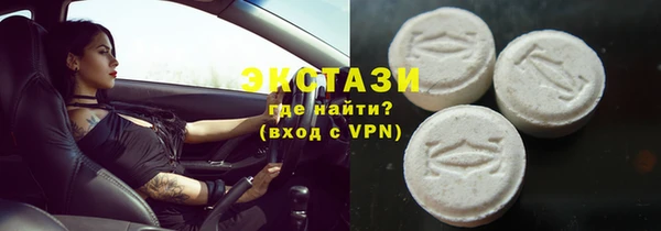 стаф Ельня