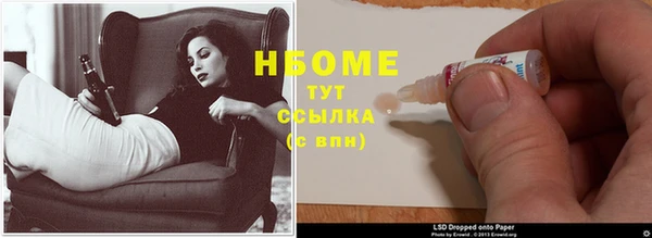 стаф Ельня