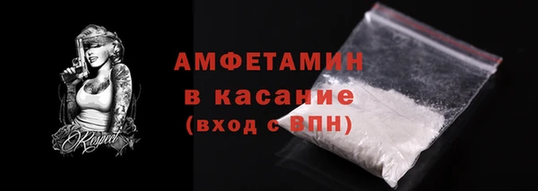 стаф Ельня