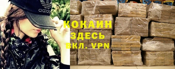 стаф Ельня