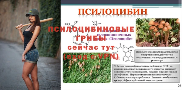 прущая мука Елабуга