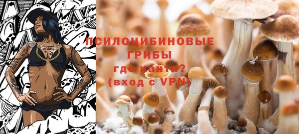 МДМА Елизово