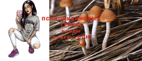 прущая мука Елабуга