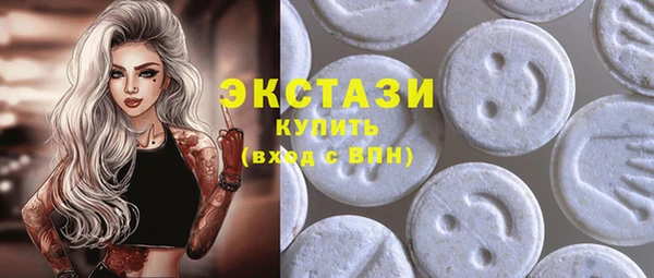 стаф Ельня