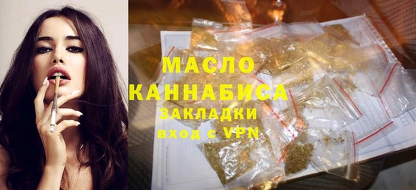 стаф Ельня