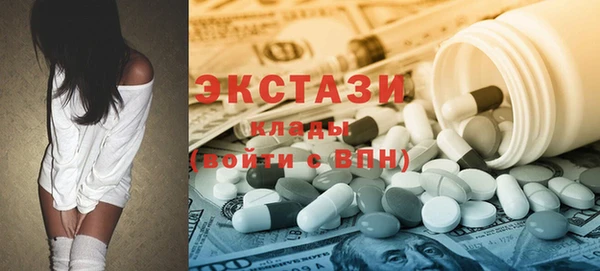 стаф Ельня