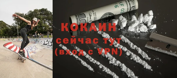 стаф Ельня