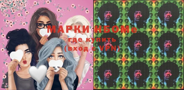 стаф Ельня