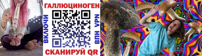 Псилоцибиновые грибы Magic Shrooms  Купить где  Тихвин 