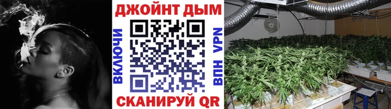 Бошки марихуана гибрид Тихвин